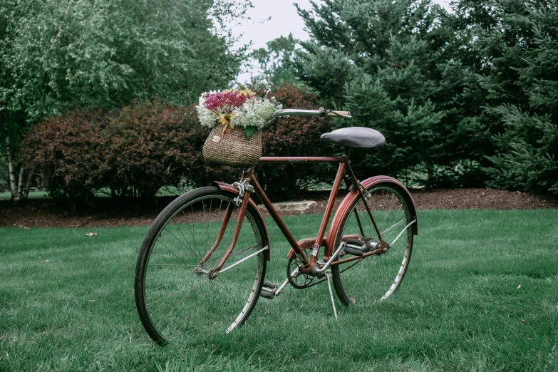 a vintage bicycle that is parked on the grass