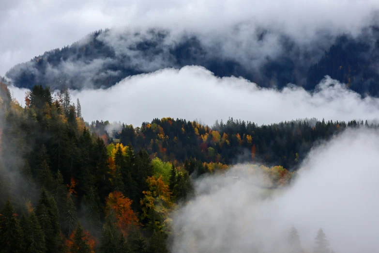 clouds are rolling in over a wooded valley