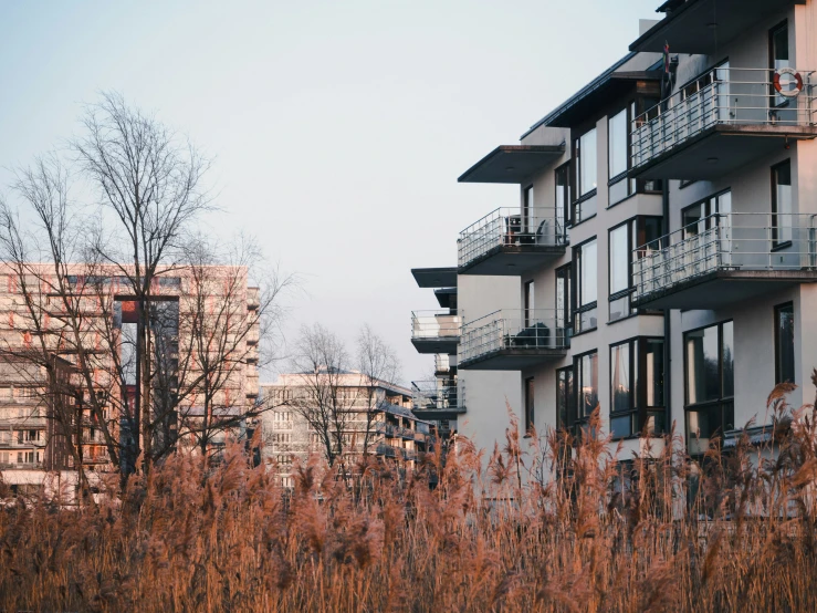 there are trees in front of tall buildings