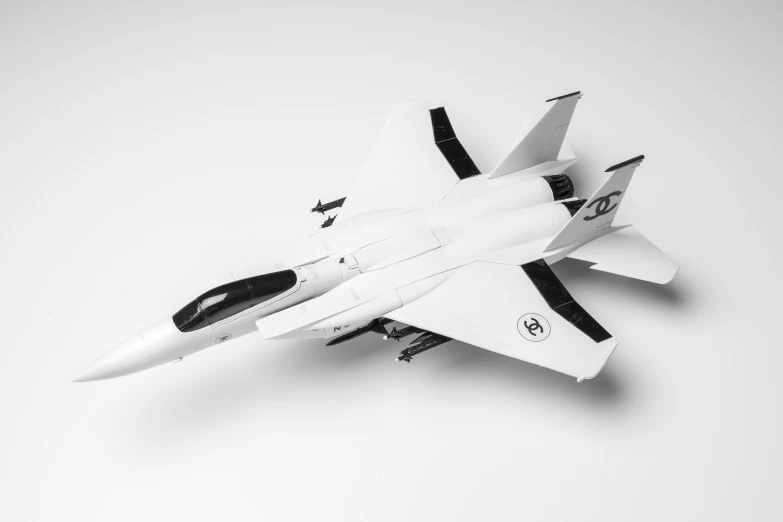 a black and white po of a small plane on the white background
