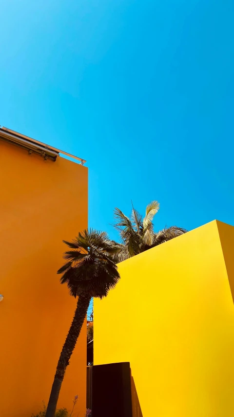 an orange building with a palm tree next to it