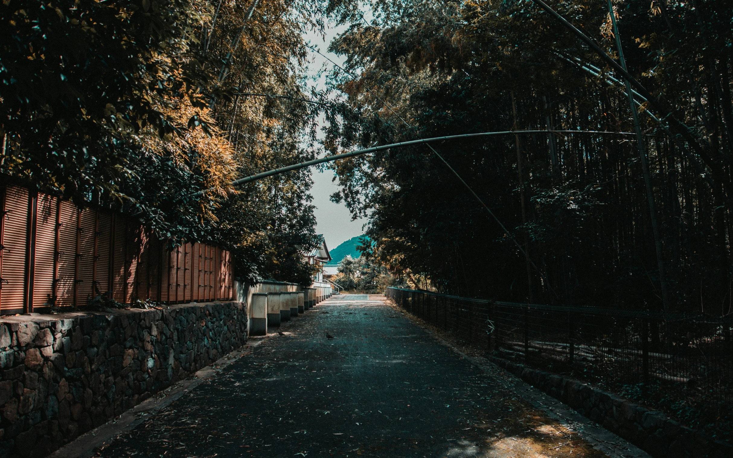 a city street with trees on both sides