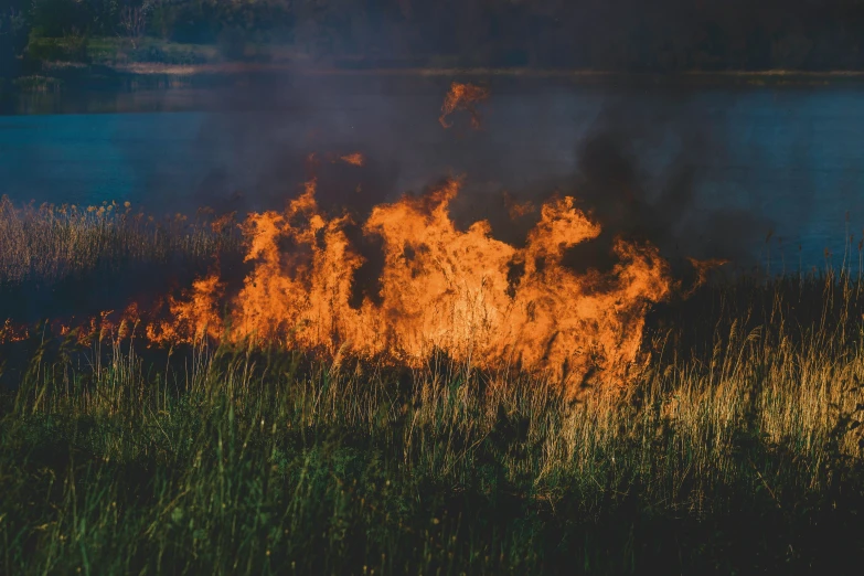 a fire blazing in the grass near a lake