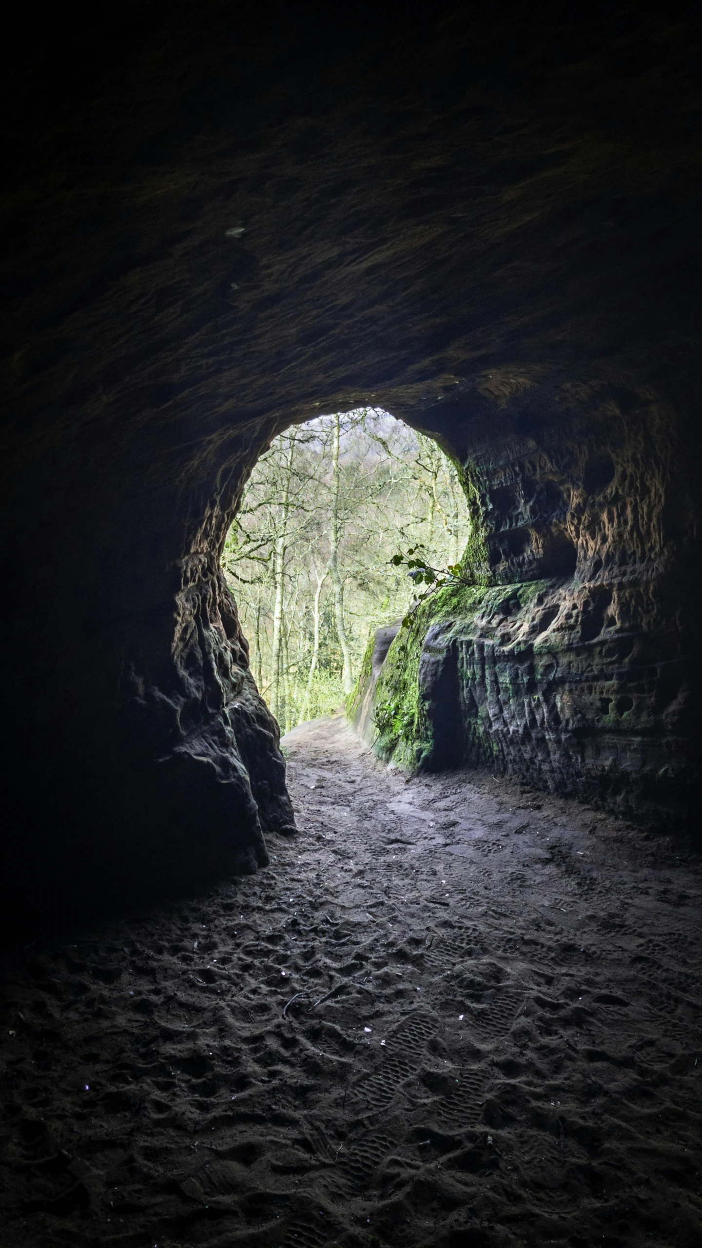 a stone tunnel with an entrance into the woods