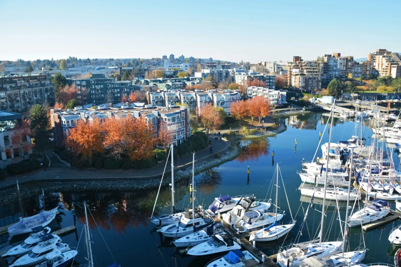 many small boats are in the water in front of a city