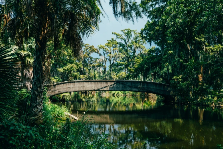 a small bridge that is in the middle of some water