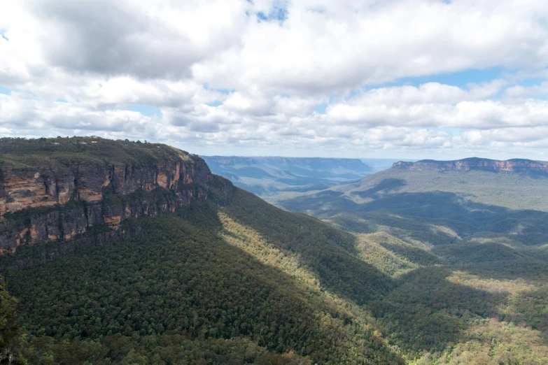 view from top of mountain with huge forest