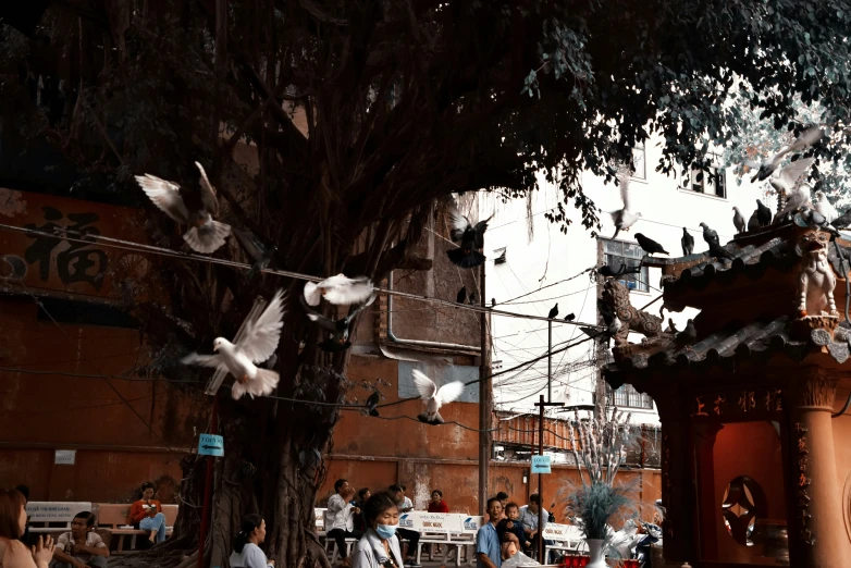 a flock of birds flying around a tree