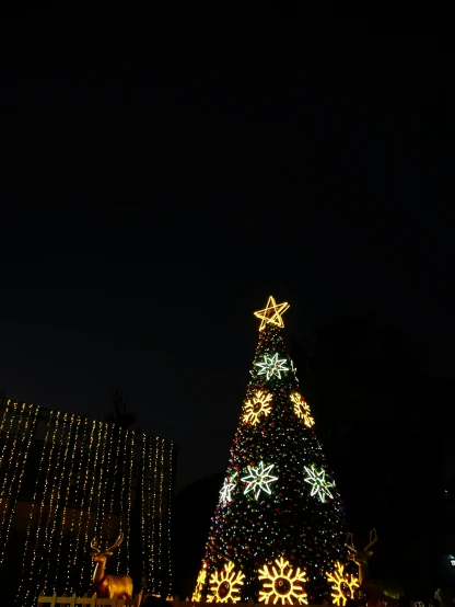 a very large christmas tree with many lights