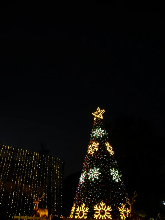 a very large christmas tree with many lights