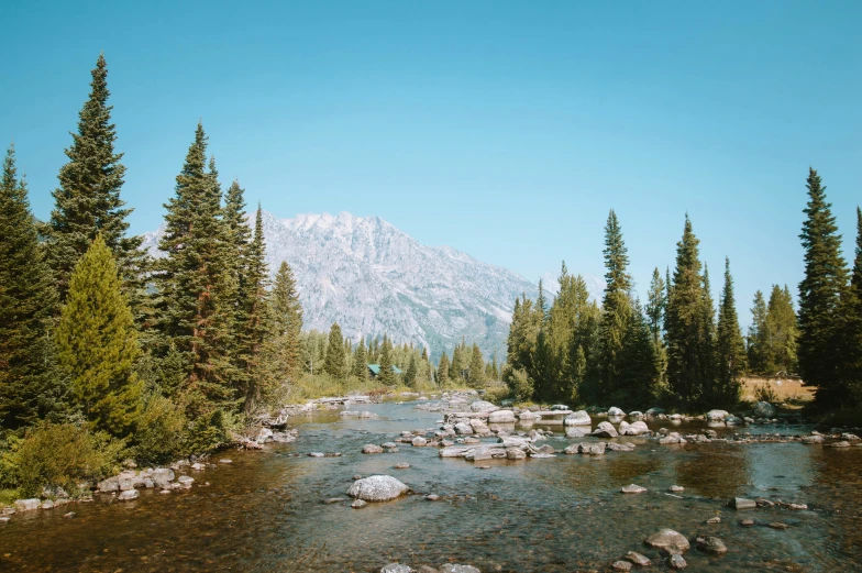 a small mountain with trees on the side and rocks in the middle