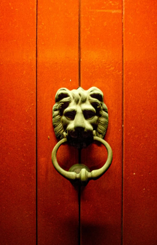 a door with a lion's head knocket on it