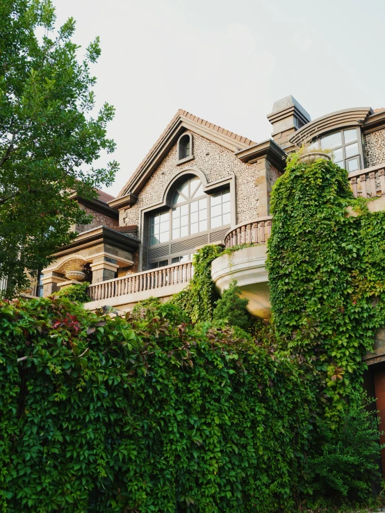 a building covered in vines on a sunny day