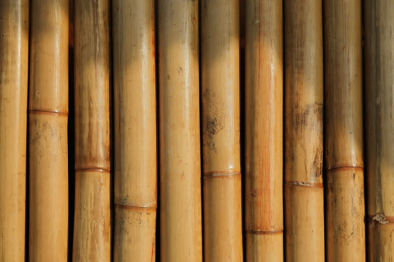 several bamboo sticks with brown spots, all arranged together