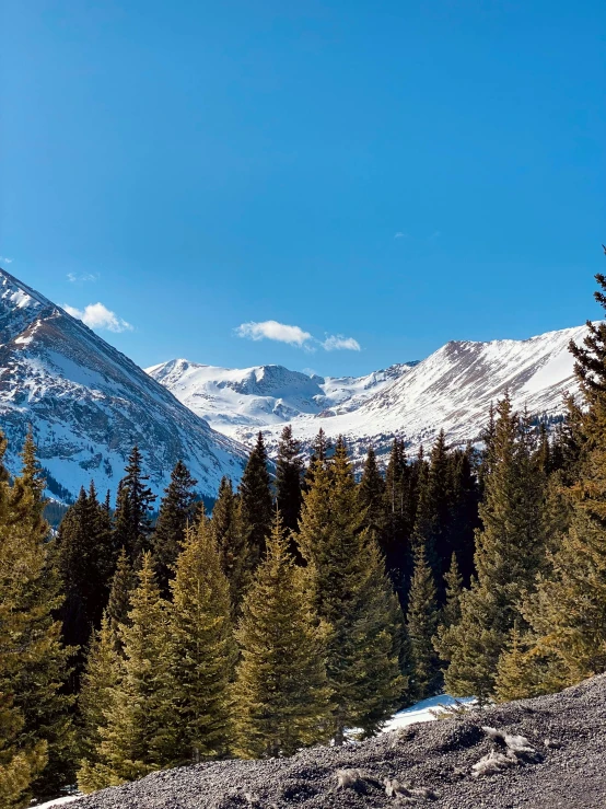 trees are in the foreground, and mountains in the background