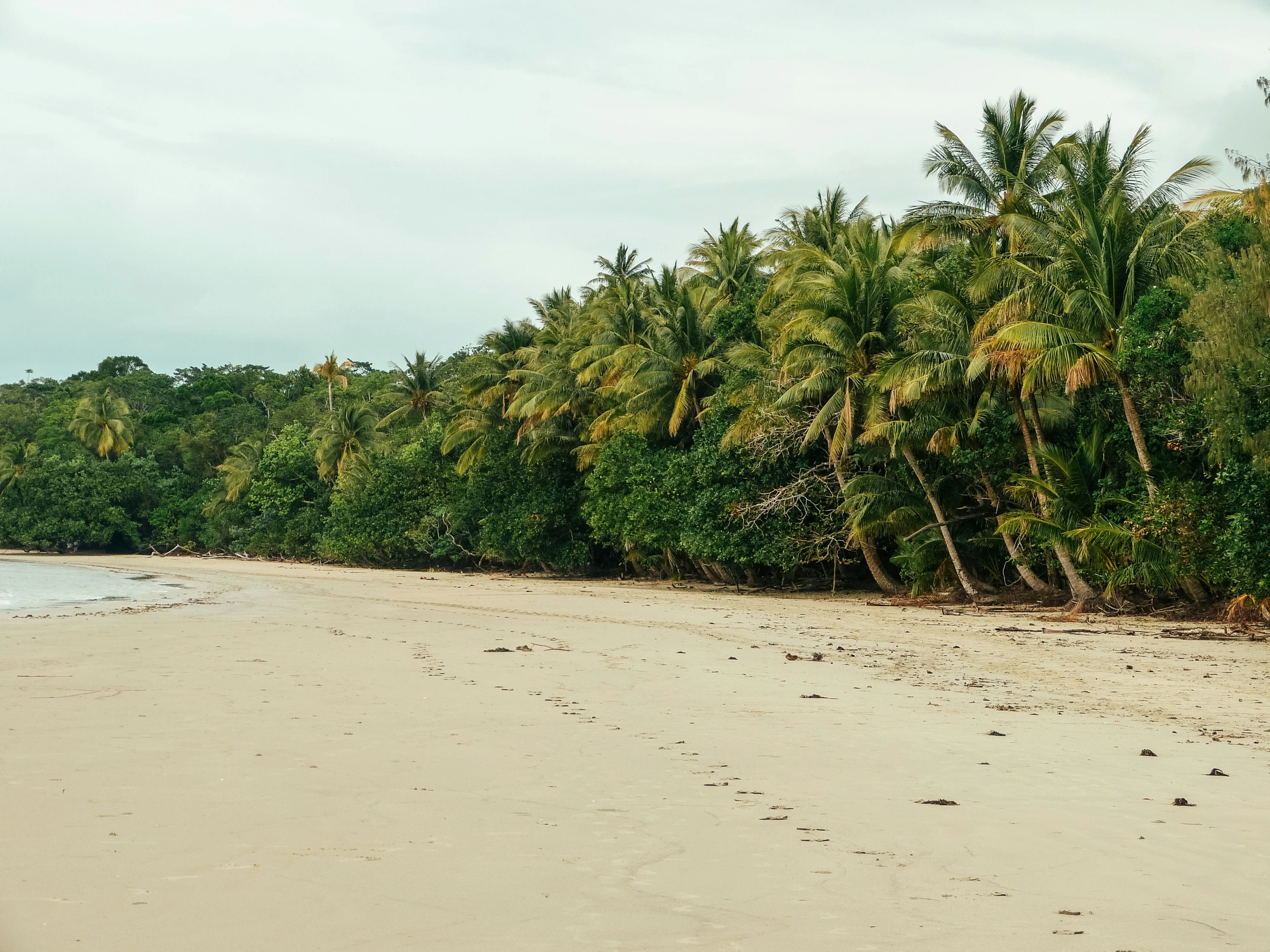 a person in white swim suit standing at the shore of a tropical beach