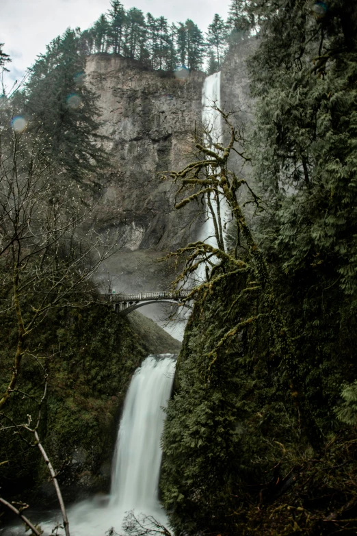 a long waterfall running into a green forest