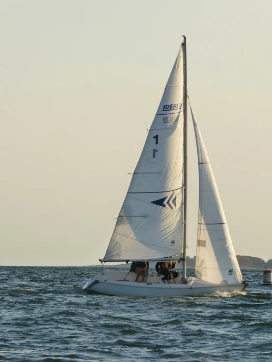 a boat with a dog inside of it on the water