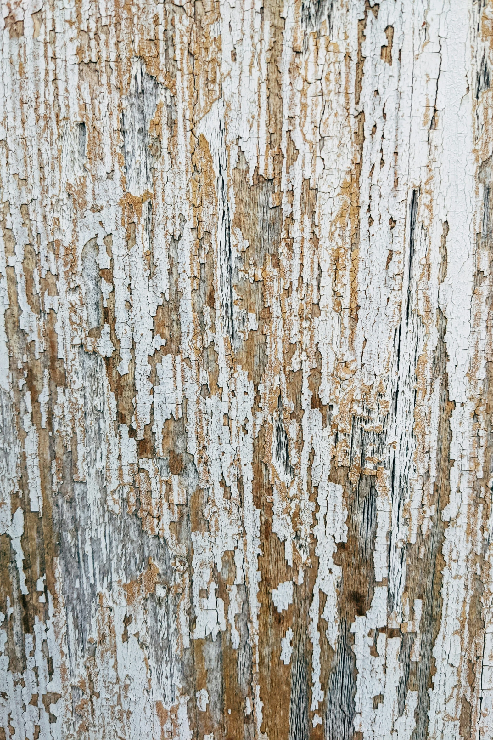 a piece of wood with white paint that is peeling