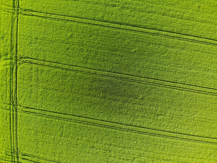 a green cloth with some lines on it