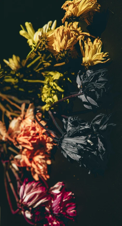 several different colored flowers are laying out together