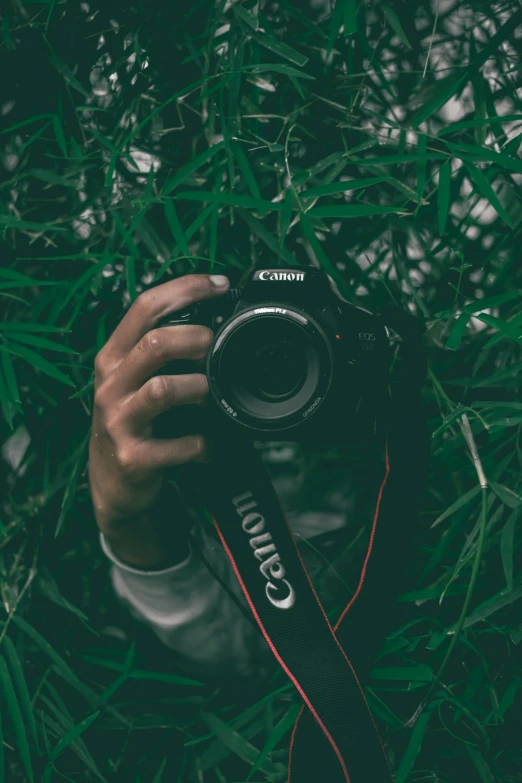 a person holds their camera to take a pograph of the grass