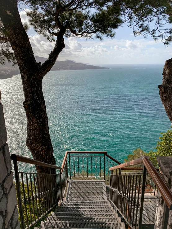 stairs lead to the ocean in front of a tree