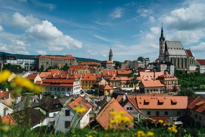 the city in the foreground and flowers in the foreground