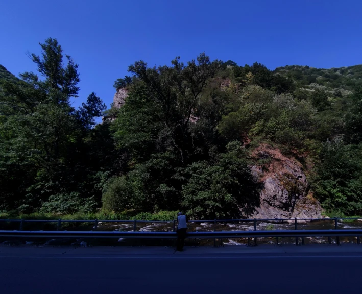 the view of a hill side covered in trees