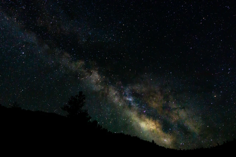 dark starry sky, dark night with many stars and silhouettes of trees