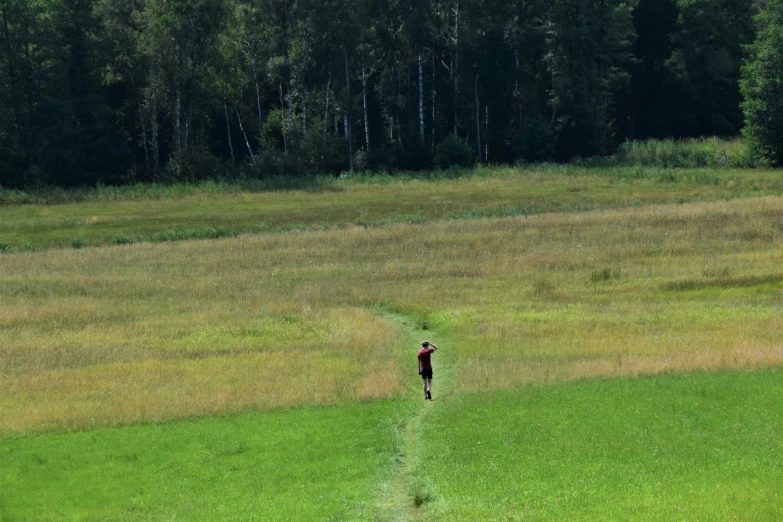 a lone person walking down a path in a grassy field