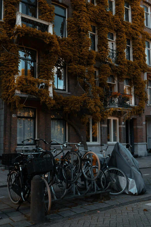 bicycles and blankets outside an old brick building
