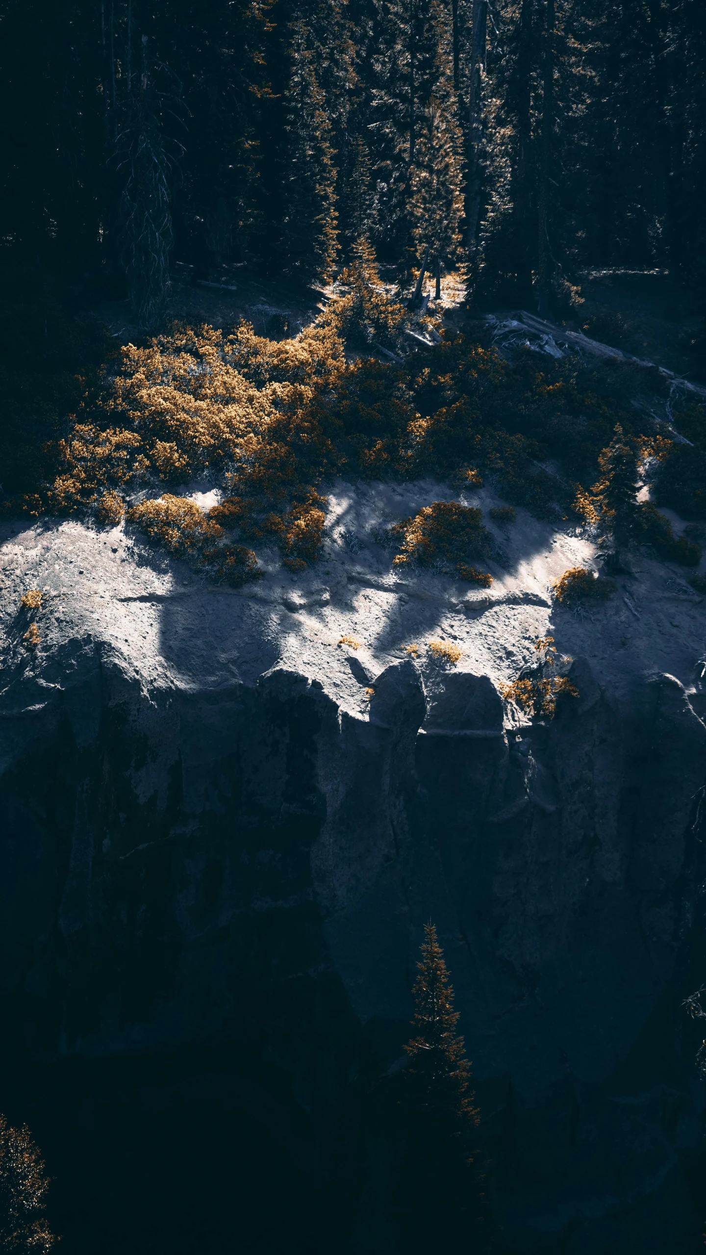 a hill covered in snow and trees is shown from above