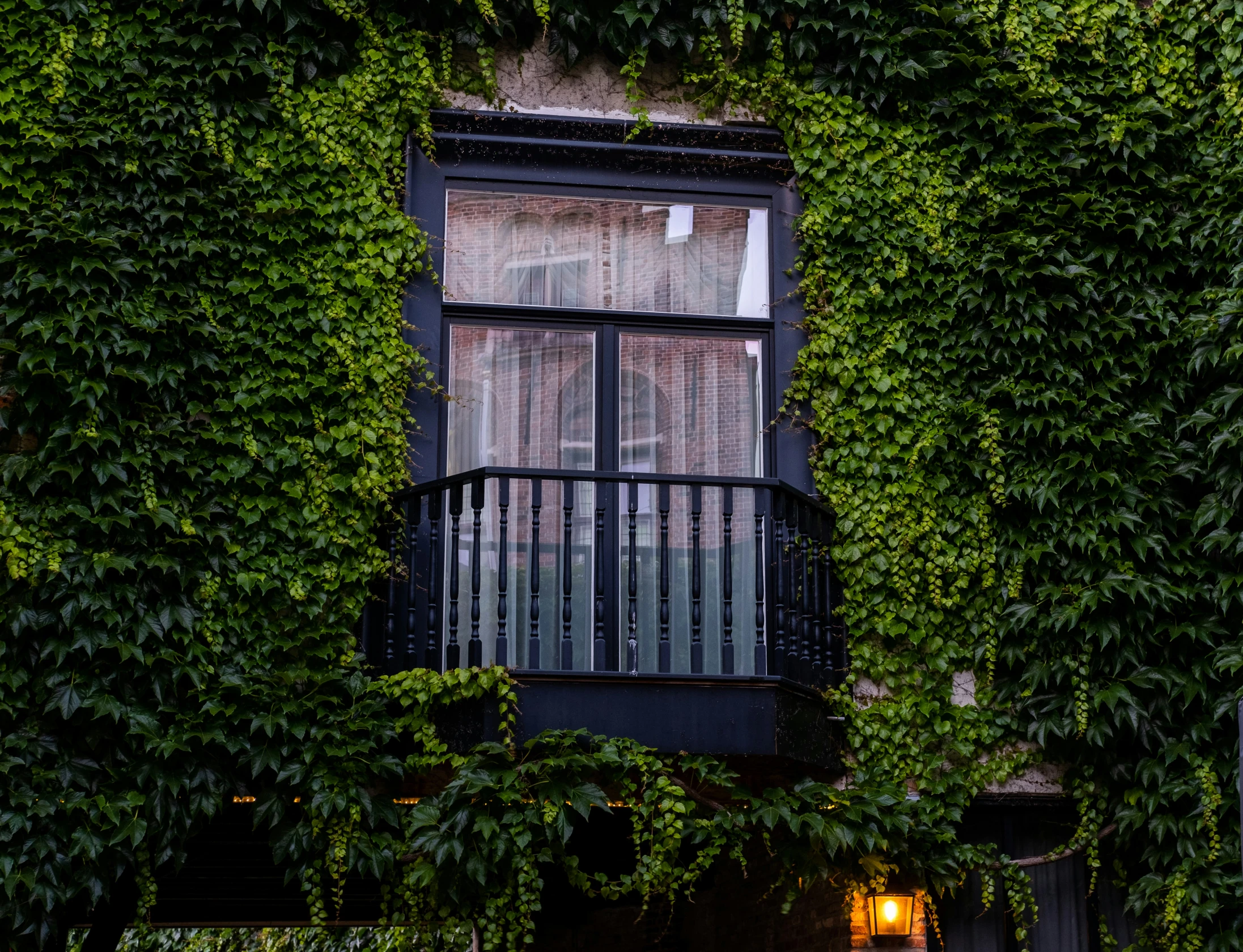 the front of a house covered in vines