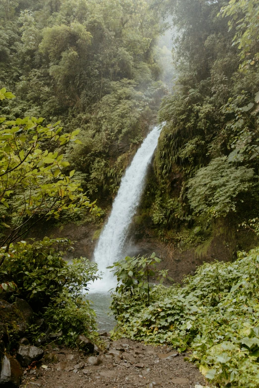 the small waterfall is next to the small creek