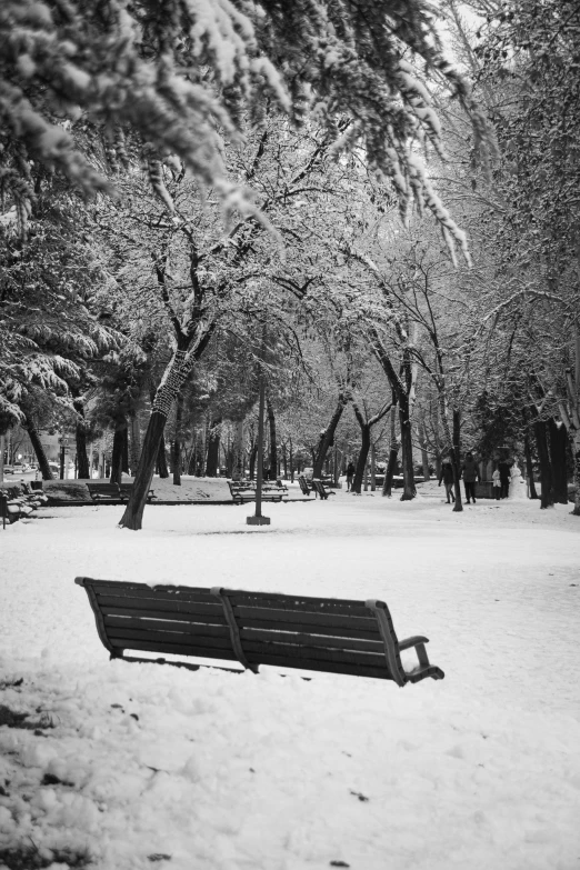 this is a black and white pograph of the park