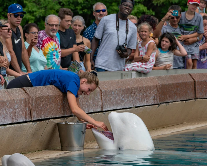 a man stands next to two fake orca whales in water