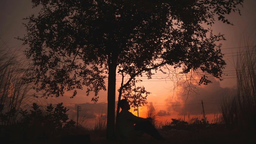 man sitting under tree at sunset time with his dog