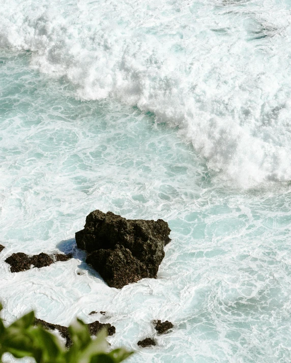 a bird that is on some rocks by the water