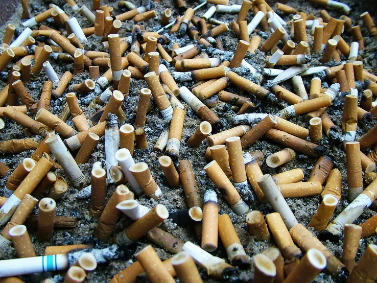 piles and piles of cigarettes that have not been consumed
