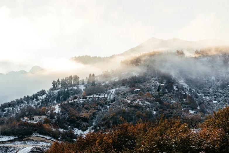 trees with lots of snow on them are up on a snowy mountain side