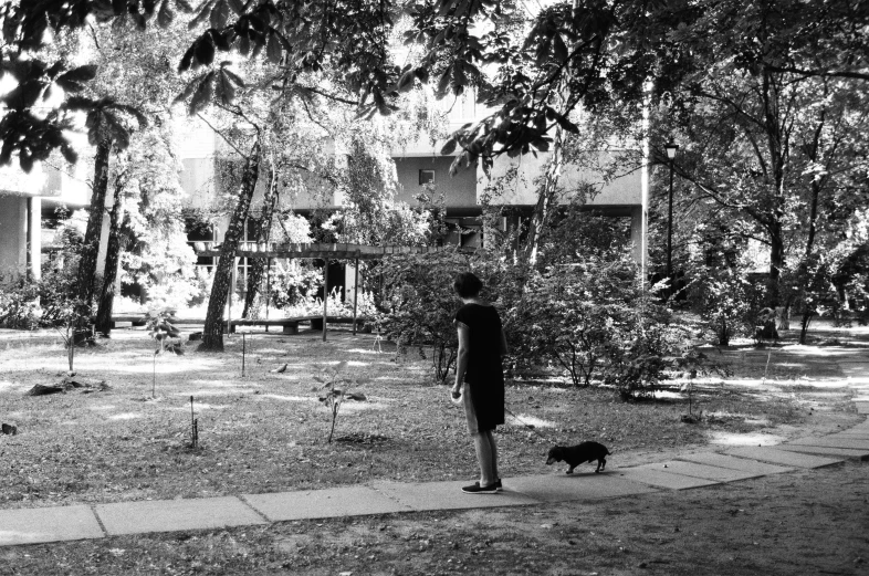 a man stands and watches another person play with a dog