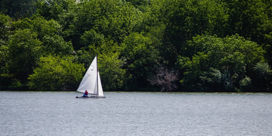 a white sailboat in the middle of trees