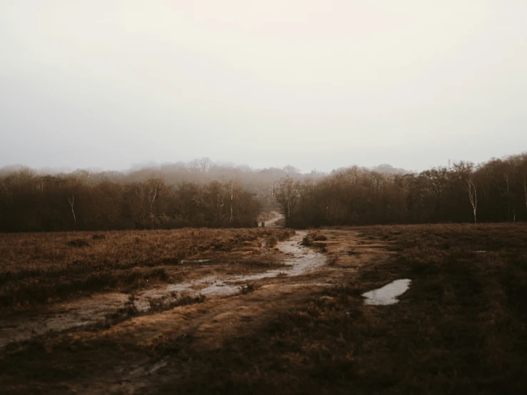 a person walking along a path through a marsh