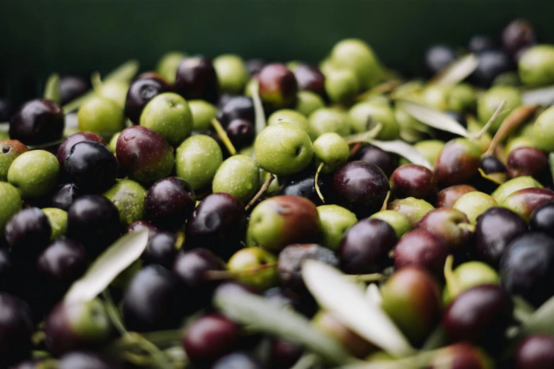 black and green olives are arranged in a container