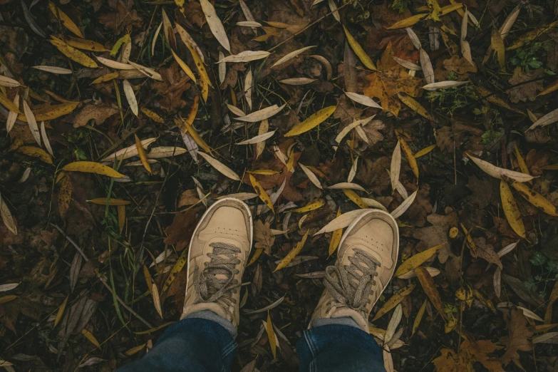 a person is standing in leaves and grass