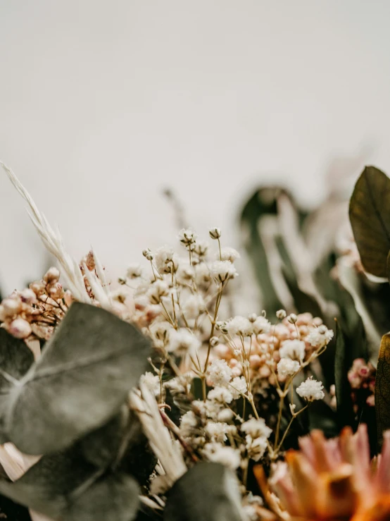 a bunch of different flowers sitting next to each other