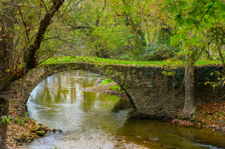 an old bridge with its vegetation growing around it