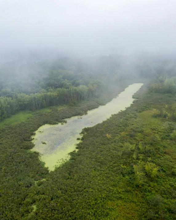 foggy and hazy jungle landscape of rivers, marshland and trees