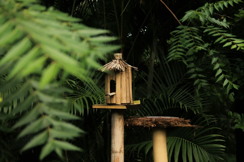 a bird house in a forest with lots of trees